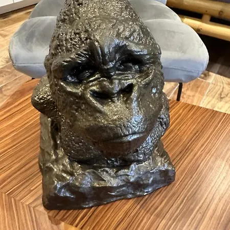 Jungle Sotteville-lès-Rouen