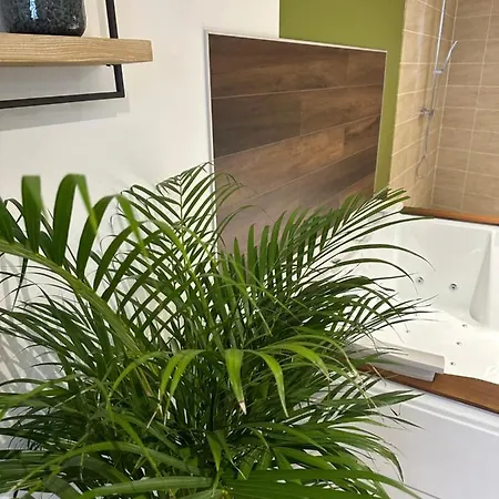 Hébergement de vacances Jungle